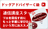 ���Ɛ��C���^�����[