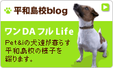 �p��Zblog�u����DA�t�� Life�vPet&i�̌��B���邷�p��Z�̓��X�̗l�q��Ԃ�܂��B