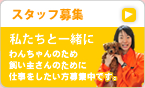 �X�^�b�t��W