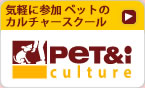 Pet&i �J���`���[�u���̂��ē�