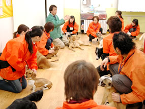 ワンコと遊ぼう!